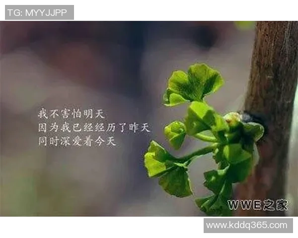 女篮球明星的个性网名推荐与创意分享，展现她们的风采与魅力